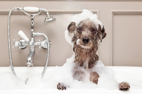 bath
