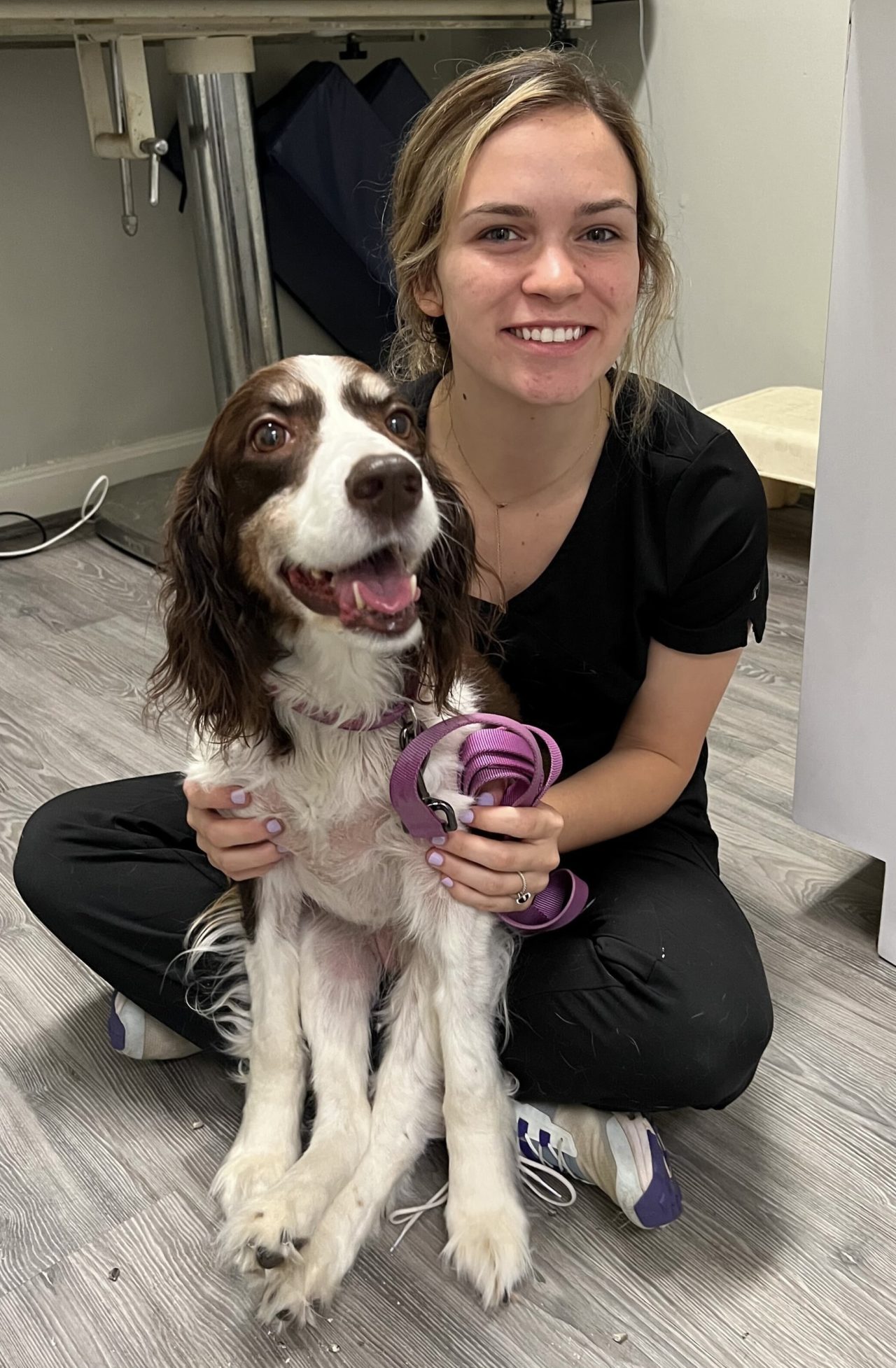 Veterinarian in Wilson, NC Brentwood Veterinary Center