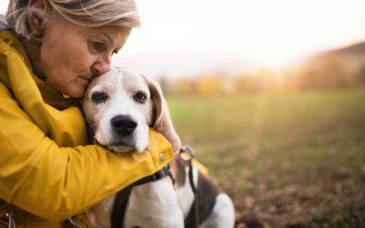 The Pinnacle of Compassion: Choosing to Adopt a Senior Pet