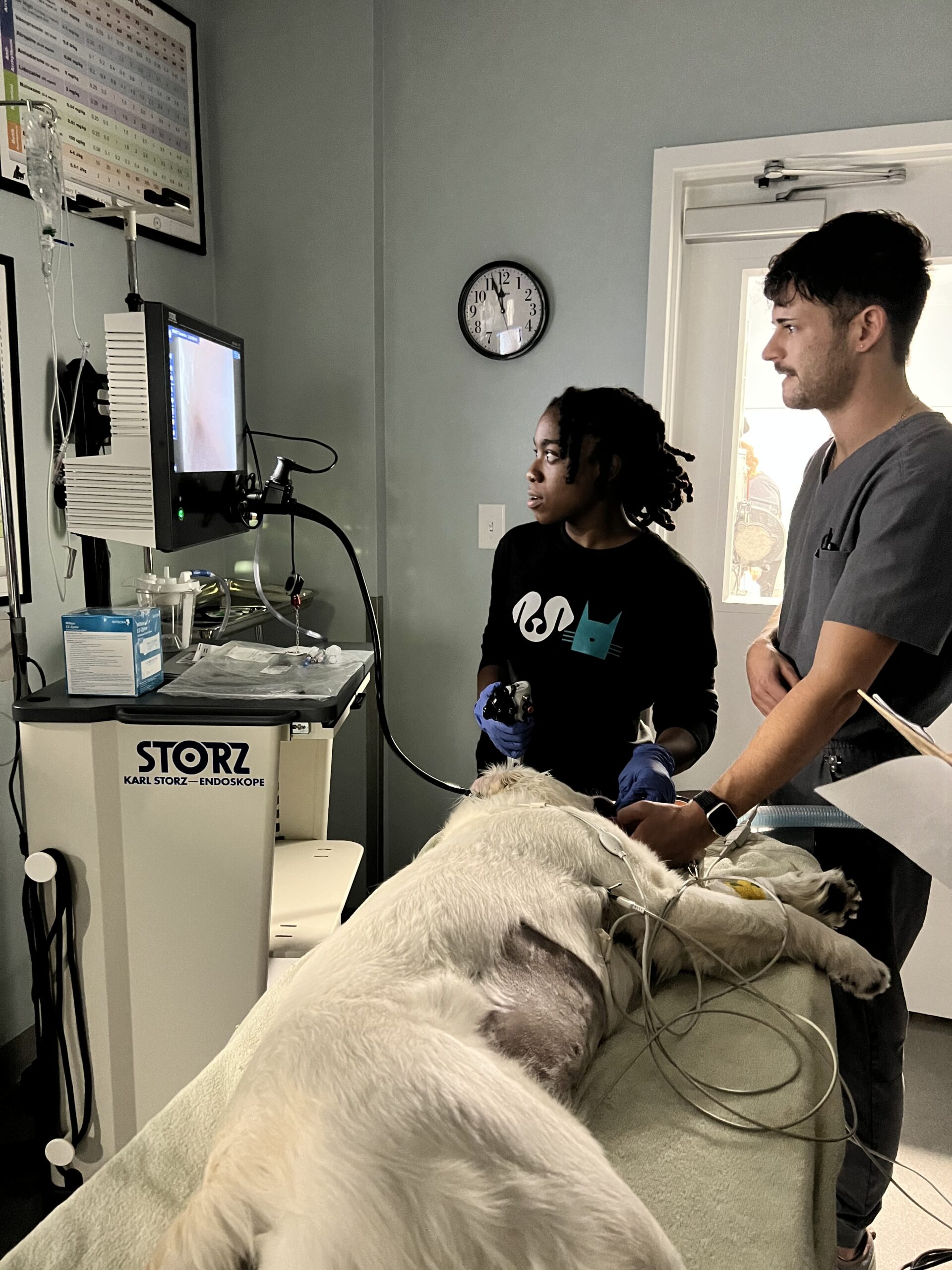 Endoscopy