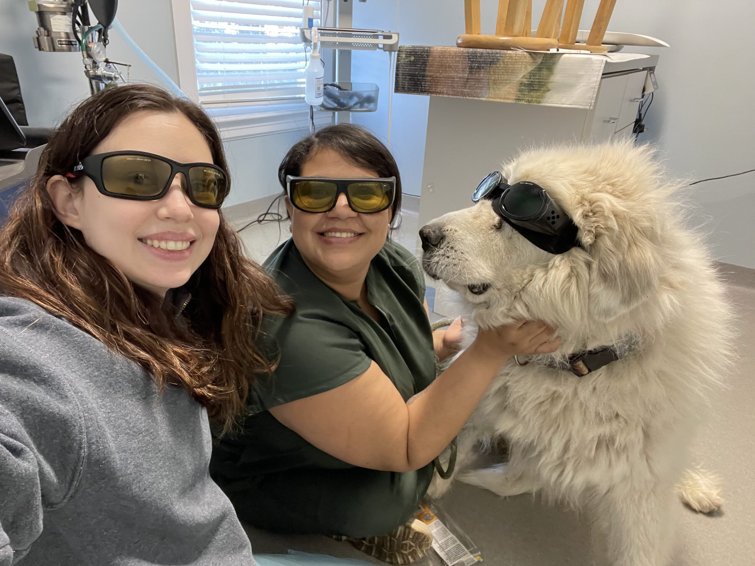 Maryurie_&_Mackenzie_Therapy_Laser_(1)