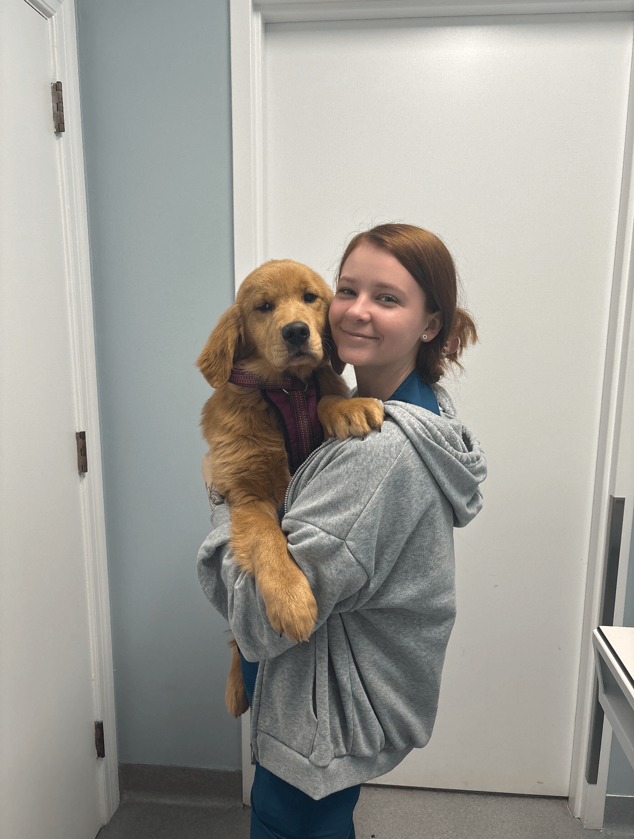 hospital team member and the puppy